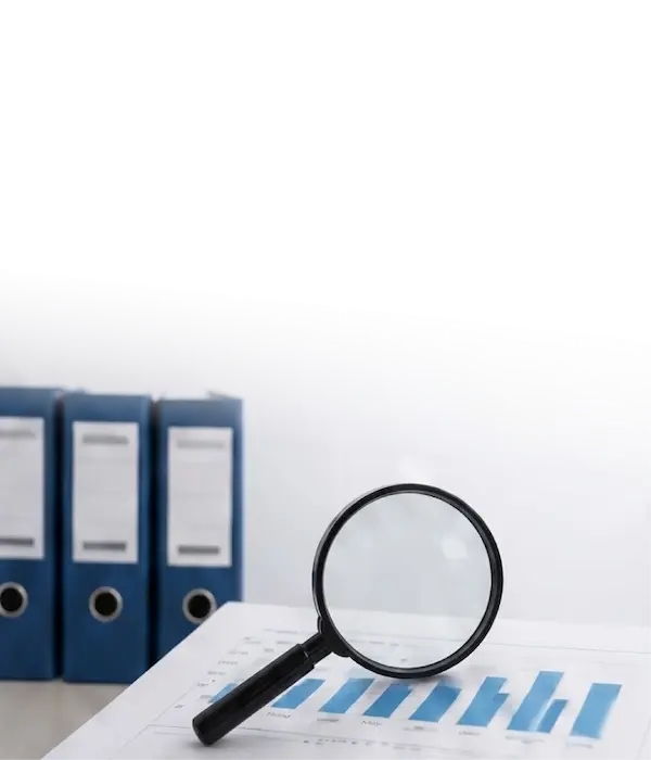 Audit Support Image